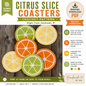 Citrus Slice Coasters Crochet Patter | Lemon Lime Orange Coaster | (Digital Download)